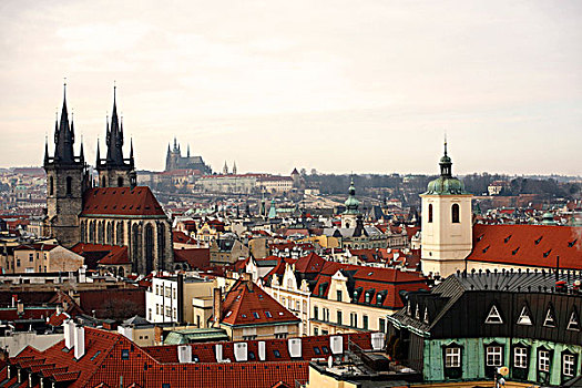 城市,布拉格,泰恩教堂,捷克共和国