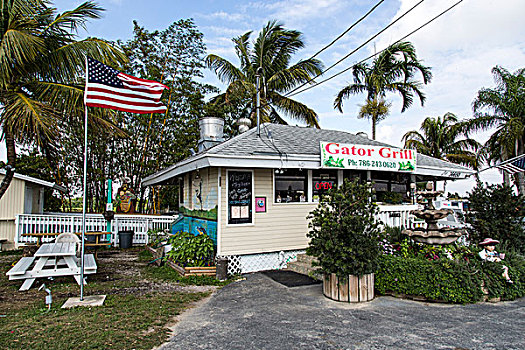 食物,小屋,向上,鳄鱼,菜单,靠近,家园,佛罗里达,美国