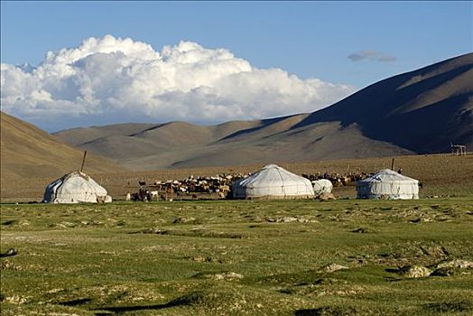蒙古包,蒙古,草原,阿尔泰,亚洲