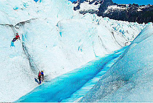 冰,攀登者,棉田豪冰河,阿拉斯加,美國