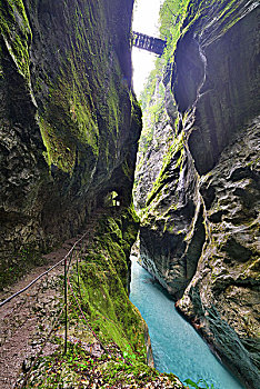 河流,峡谷,斯洛文尼亚