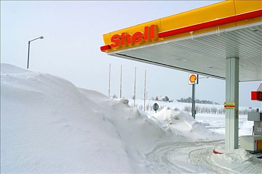 壳,加油站,掩埋,雪中