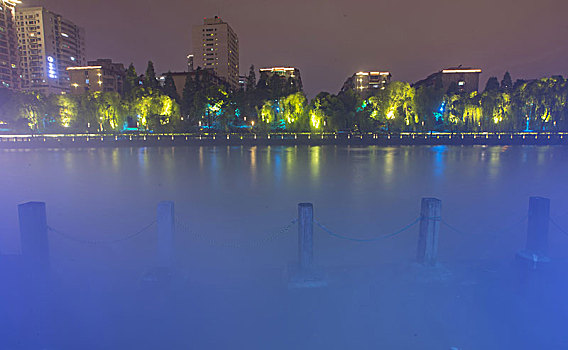 杭州运河边树林夜景
