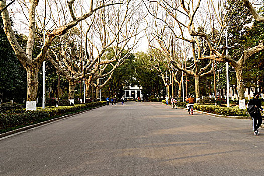 南京大学校园