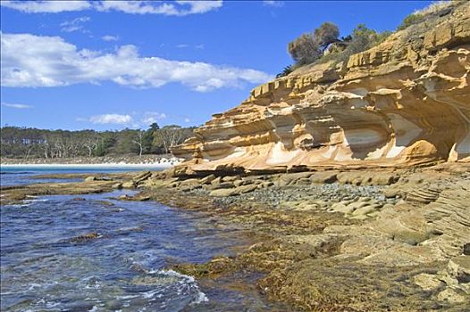 涂绘,悬崖,玛丽亚,岛屿,国家公园,塔斯马尼亚,澳大利亚