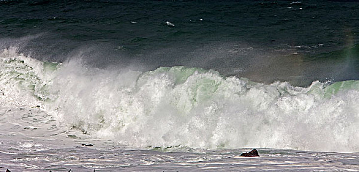 波浪,海岸,南非