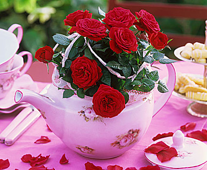 红玫瑰,茶壶,茶桌