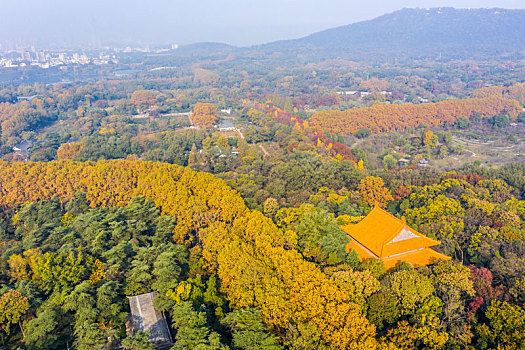 航拍江苏南京钟山风景名胜区