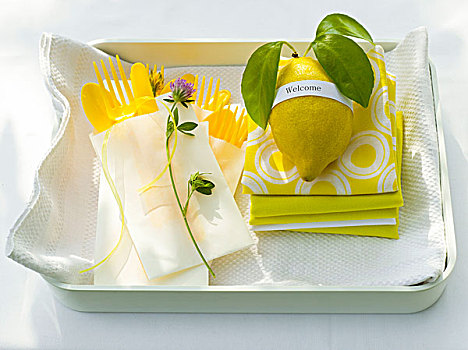 柠檬,野餐,餐具,餐巾,白色