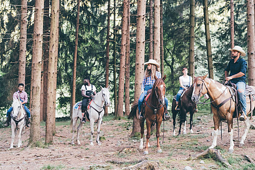 五个,年轻人,骑马,树林,特兰提诺阿尔托阿迪杰,意大利