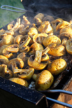 烤制食品,蘑菇,热,木碳,户外