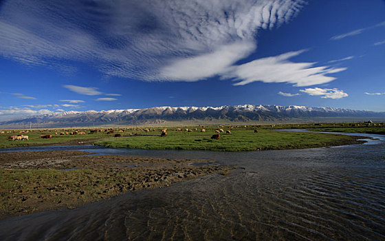 新疆哈密巴里坤草原湿地