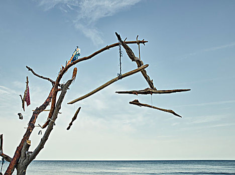 风铃,浮木,海滩