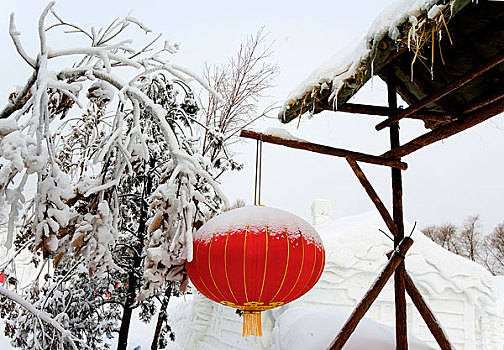 冬天雪景中的农家院景观