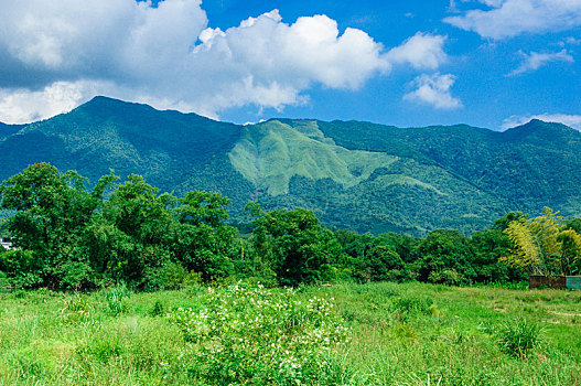 田野风光