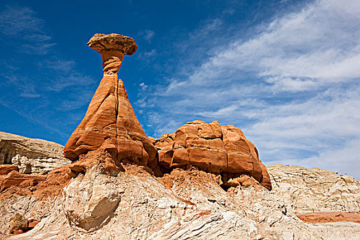 伞菌,怪岩柱,大阶梯-埃斯卡兰特国家保护区,犹他,北美,美国