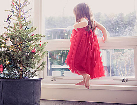 女孩,红裙,石台,靠近,盆栽,圣诞树