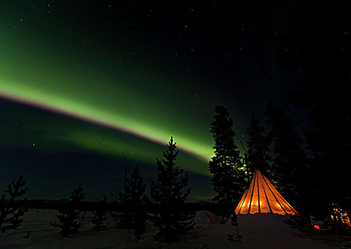 光亮,圆锥形帐篷,北方,极光,北极光,绿色,靠近,育空地区,加拿大,北美