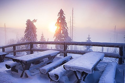 积雪,野餐桌,山,巴伐利亚,德国