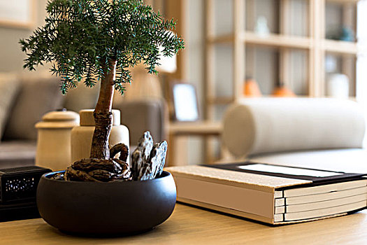 桌子,绿色,盆栽,现代生活,房间