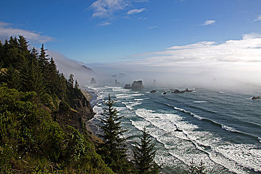 海洋,海浪,雾,海岸,靠近,俄勒冈,美国,北美