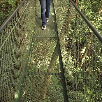 吊桥,哥斯达黎加