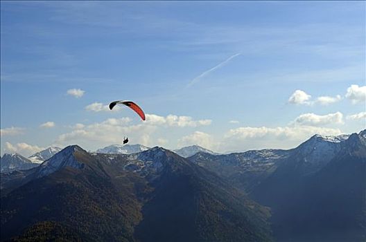 滑翔伞,空中,高处,山峰,省,意大利,欧洲