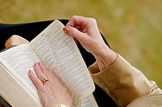 特写,女人,读,圣经