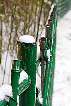 公园,植物园,篱笆,雪,竹子