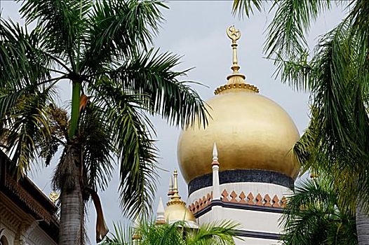 新加坡,圆顶,苏丹清真寺