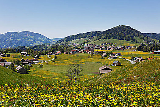 乡村,山,冰山,右边,区域,奥地利,欧洲