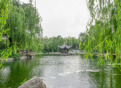 北京陶然亭公园风光