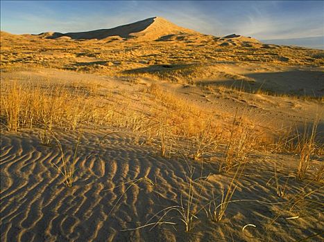 沙丘,草,莫哈韦沙漠,国家,保存,加利福尼亚