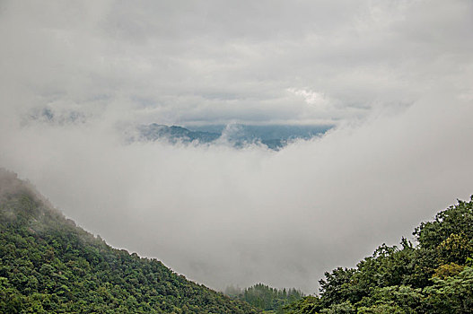 雾气弥漫的山峰