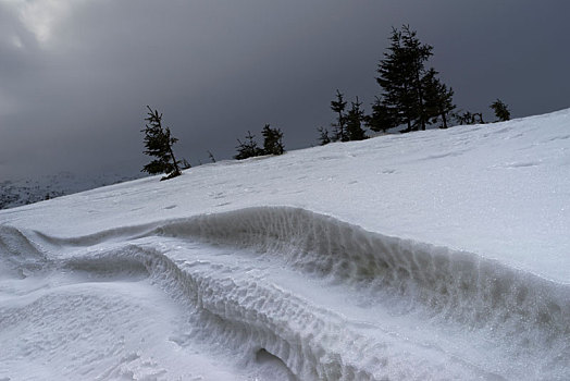 暴风雪