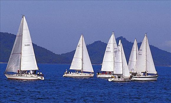 白色,游艇,帆船,水上运动,赛舟会,比赛,普吉岛,岛屿,印度洋,泰国,亚洲