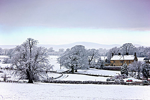 自然,冬天,贝灵汉,诺森伯兰郡,英格兰
