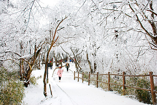 秋名山,雪景