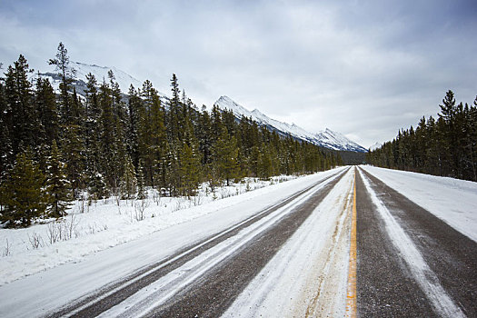 长,空,冬天,道路,山,班芙国家公园,加拿大