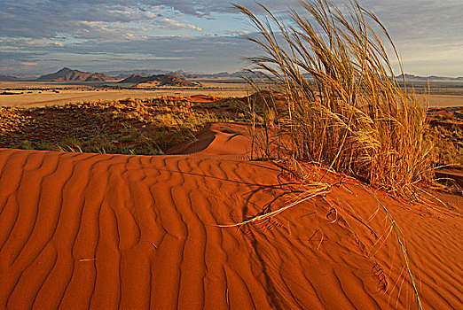 纳米比亚,国家公园,沙漠,沙丘,黃昏