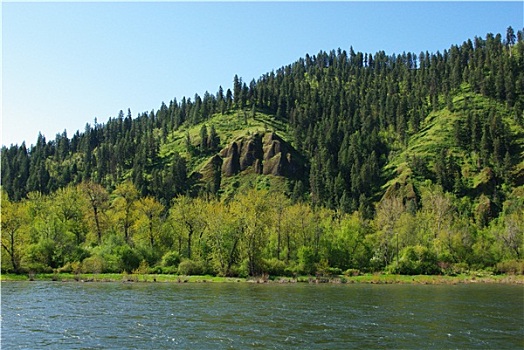 绿色,风景,清水,河,爱达荷