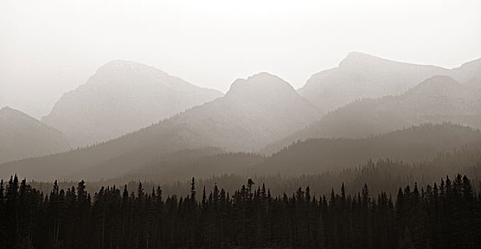 雾状,山林,班芙国家公园