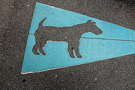 沥青,标记,箭头,狗,勒阿弗尔,城市,周年纪念