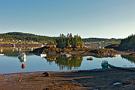 渔船,退潮,芬地湾,新布兰斯维克,加拿大