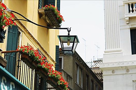 仰视,灯笼,窗台花箱,威尼斯,意大利