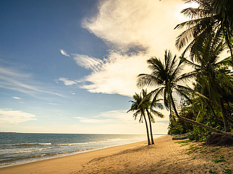 海南省三亚市三亚湾椰梦长廊阳光沙滩椰子树