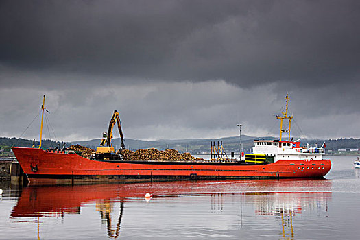 苏格兰,货船,港口