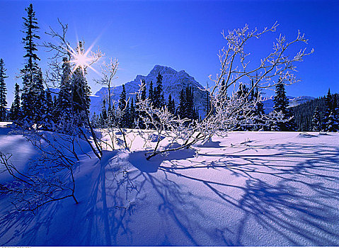班芙国家公园,冬天,艾伯塔省,加拿大
