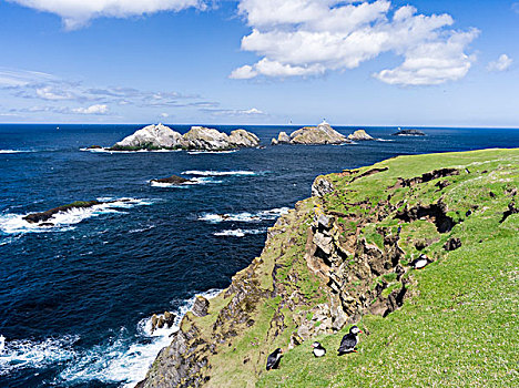 灯塔,国家级保护区,昂斯特,岛屿,设得兰群岛,苏格兰,大幅,尺寸