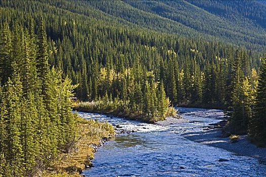 急流,河,绵羊,省立公园,卡纳纳斯基斯县,艾伯塔省,加拿大